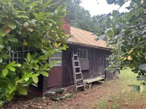 Pronájem sadu/vinice, Praha - Točná, Ke starému hřišti, 3842 m2