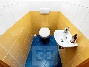 Prodej bytu 2+kk, Praha - Zbraslav, Pickova, 55 m2