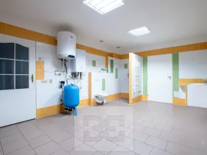 Pronájem rodinného domu, Okřínek, 140 m2