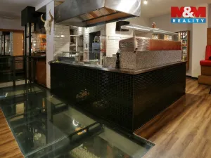Pronájem restaurace, Olomouc, Riegrova, 500 m2