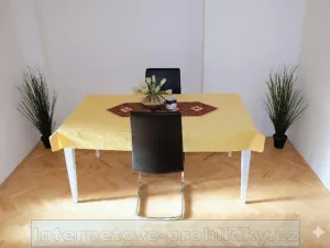 Pronájem pokoje, Praha - Břevnov, Bělohorská, 21 m2