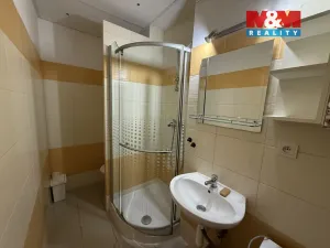 Pronájem bytu 3+1, Praha - Žižkov, Sladkovského náměstí, 53 m2