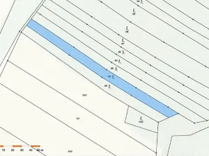 Prodej lesa, Dolní Vilémovice, 1844 m2