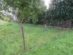 Dražba zahrady, Dobruška, 294 m2