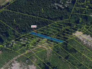 Dražba lesa, Havlíčkův Brod, 212 m2