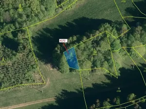Dražba lesa, Zděchov, 216 m2