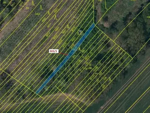 Dražba lesa, Březník, 234 m2