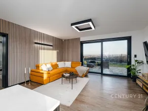 Prodej rodinného domu, Zruč-Senec, 162 m2