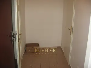 Pronájem bytu 1+1, Teplice, U Hadích lázní, 44 m2