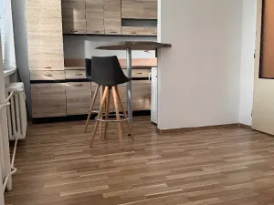 Prodej bytu 1+kk, Ostrava, Heleny Salichové, 27 m2