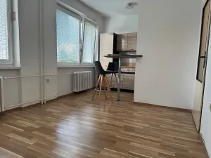Prodej bytu 1+kk, Ostrava, Heleny Salichové, 27 m2