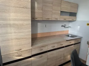 Prodej bytu 1+kk, Ostrava, Heleny Salichové, 27 m2