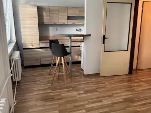 Prodej bytu 1+kk, Ostrava, Heleny Salichové, 27 m2