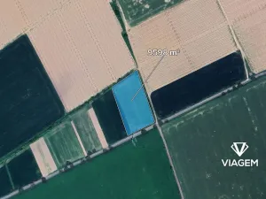 Prodej podílu pole, Nelešovice, 1599 m2