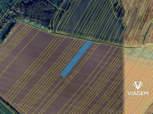 Prodej pole, Uherské Hradiště, 4181 m2