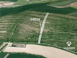 Prodej pole, Morkůvky, 2859 m2