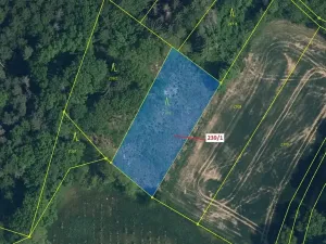 Dražba lesa, Jenišovice, 1872 m2