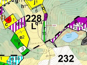 Dražba lesa, Rabí, 3054 m2