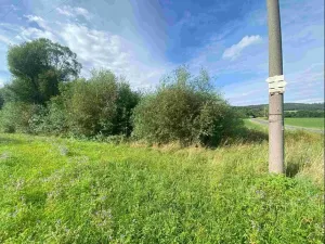 Dražba louky, Maleč, 6901 m2