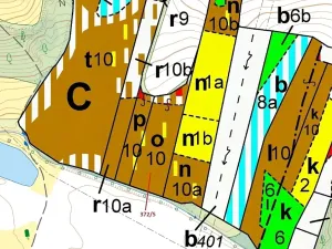 Dražba lesa, Přílepy, 7060 m2