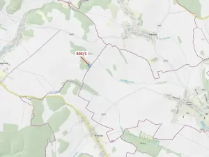 Dražba lesa, Přemyslovice, 7049 m2