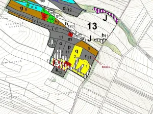 Dražba lesa, Přemyslovice, 7049 m2