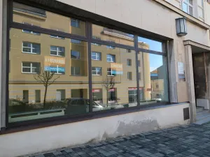Pronájem obchodního prostoru, Uherský Brod, 110 m2