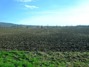 Prodej pozemku pro bydlení, Suchá Loz, 1739 m2