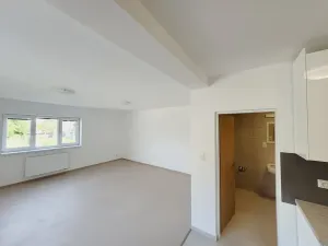 Pronájem bytu 1+kk, Staré Město, U Sklépka, 40 m2