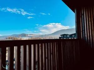 Pronájem bytu 1+kk, Čeladná, 37 m2