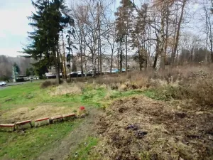 Prodej pozemku pro bydlení, Cheb, Klášterní, 7311 m2