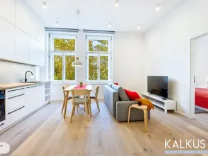 Pronájem bytu 2+kk, Hradec Králové, Eliščino nábřeží, 44 m2