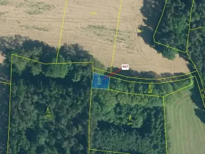 Dražba lesa, Nezdřev, 126 m2