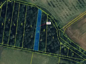 Dražba lesa, Hradčany-Kobeřice, 1221 m2