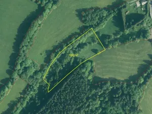 Dražba pozemku, Čachrov, 10377 m2