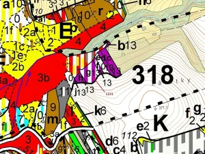 Dražba lesa, Spešov, 1590 m2