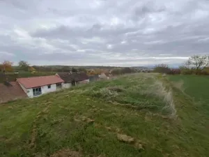 Dražba pole, Židovice, 123 m2