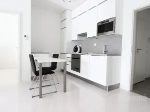 Pronájem bytu 2+kk, Praha - Karlín, U Mlýnského kanálu, 55 m2