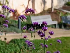 Pronájem bytu 2+kk, Praha - Smíchov, Holečkova, 74 m2