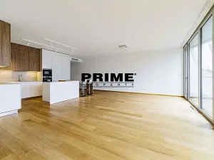 Pronájem bytu 4+kk, Praha - Smíchov, Holečkova, 174 m2