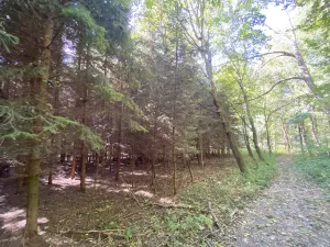 Prodej lesa, Lánov - Horní Lánov, 11269 m2