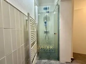 Pronájem atypického bytu, Teplice, J. V. Sládka, 134 m2