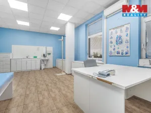 Pronájem komerční nemovitosti, Ústí nad Labem - Severní Terasa, Šrámkova, 32 m2