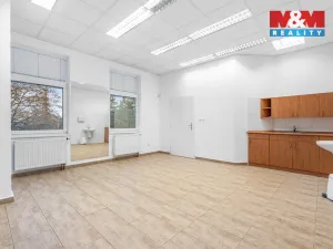 Pronájem komerční nemovitosti, Ústí nad Labem - Severní Terasa, Šrámkova, 33 m2