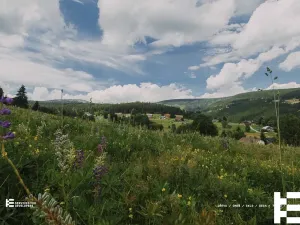 Prodej bytu 5+kk, Pec pod Sněžkou, 135 m2