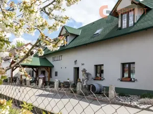 Prodej ubytování, Březí, 334 m2