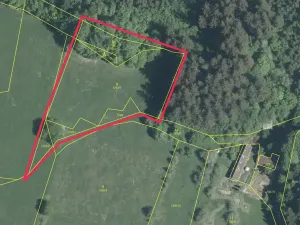 Prodej louky, Prlov, 4463 m2