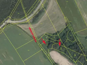 Prodej lesa, Dubnice, 2352 m2