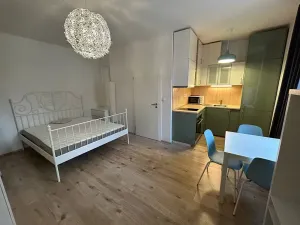 Pronájem bytu 1+kk, Praha - Krč, Budějovická, 30 m2