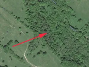 Prodej lesa, Trutnov, 21468 m2